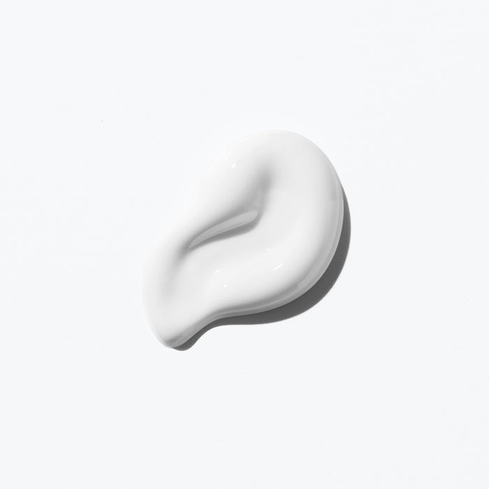 Curl Manifesto Crème De Jour Fondamentale