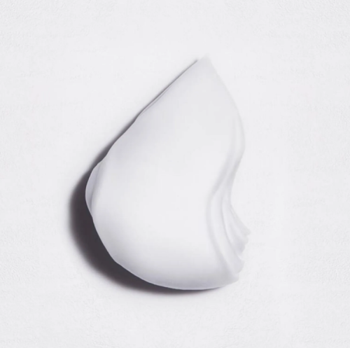 Densifique Densimorphose Densifique Hair Mousse