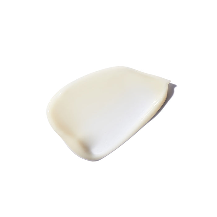 Densifique Fondant Densité Conditioner
