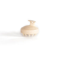 Brosse à shampoing