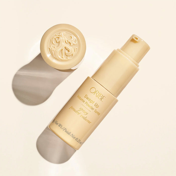 Signature Swept Up Spray Poudré Volume 6g